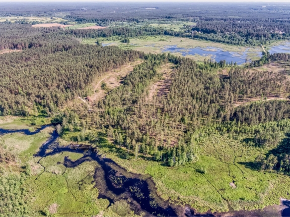 Exclusive Countryside Land Near Riga center – Surrounded by Forests and Water