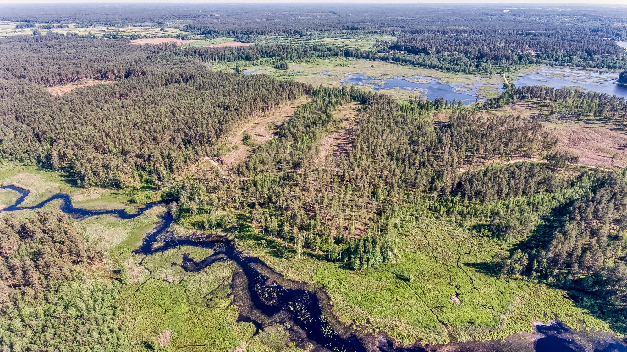 Exclusive Countryside Land Near Riga center – Surrounded by Forests and Water