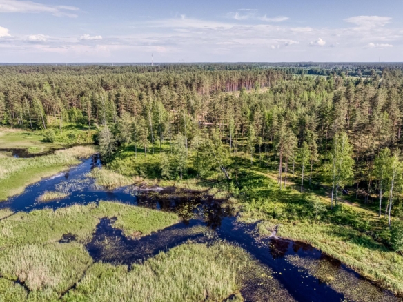 Exclusive Countryside Land Near Riga center – Surrounded by Forests and Water