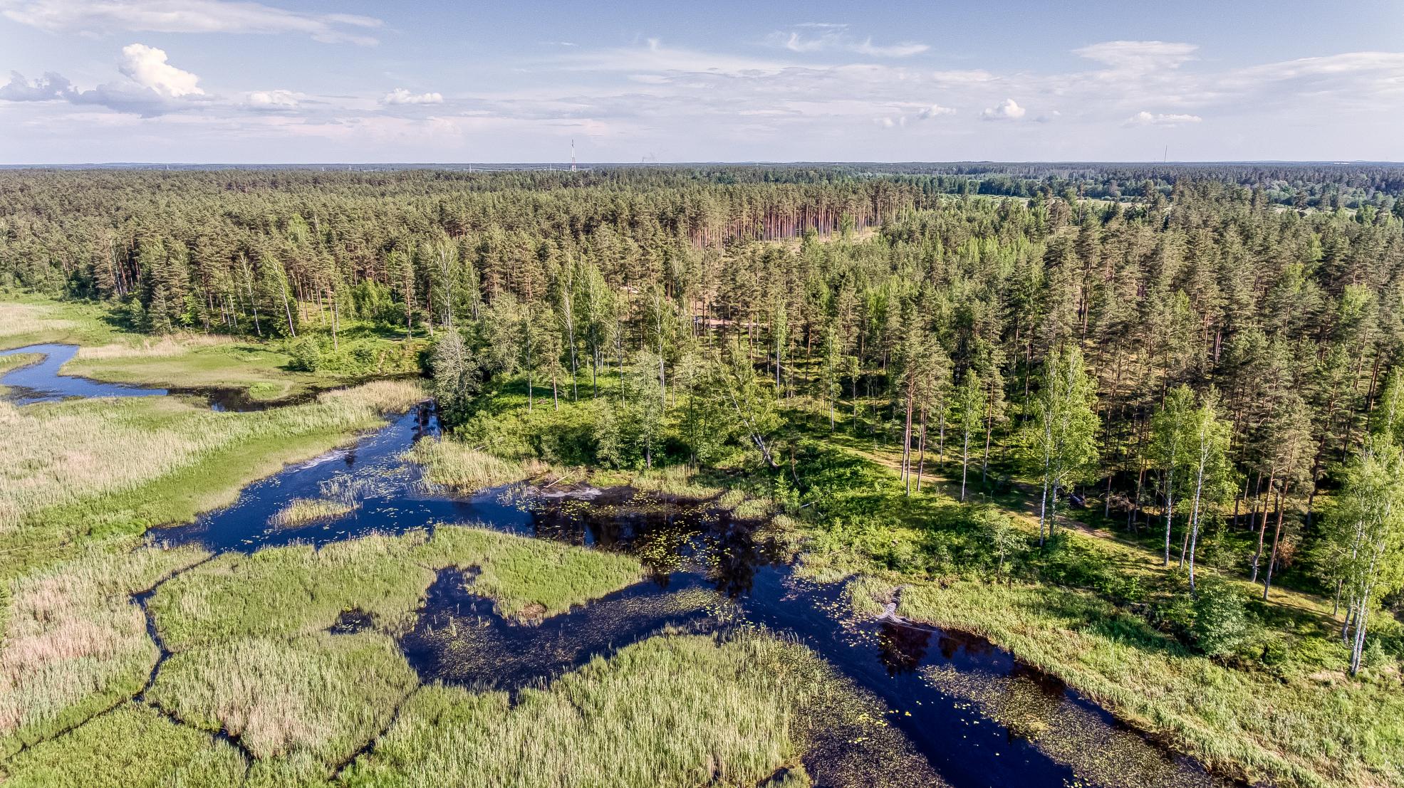 Exclusive Countryside Land Near Riga center – Surrounded by Forests and Water