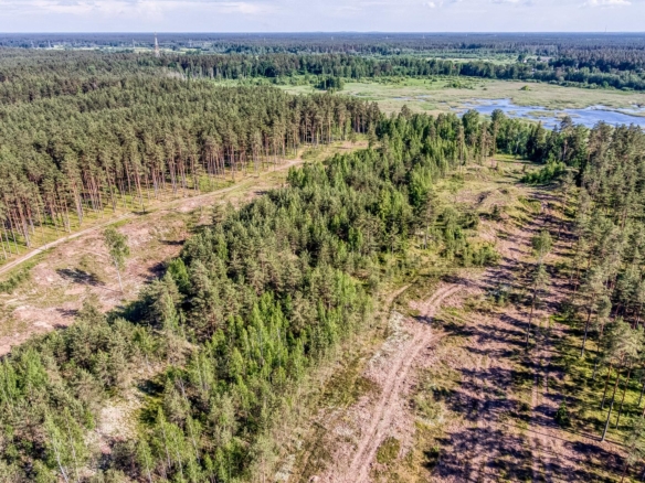 Exclusive Countryside Land Near Riga center – Surrounded by Forests and Water