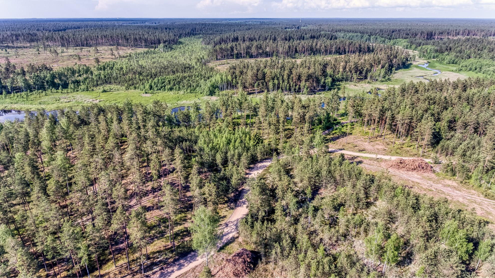 Exclusive Countryside Land Near Riga center – Surrounded by Forests and Water