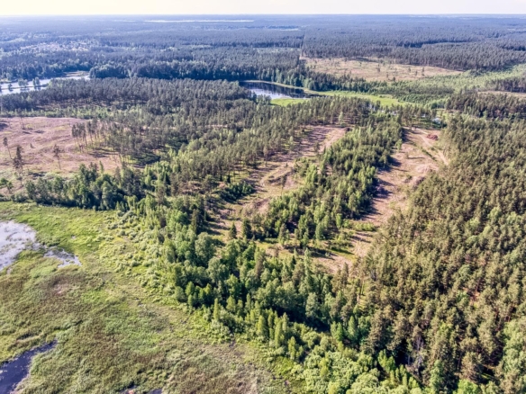 Exclusive Countryside Land Near Riga center – Surrounded by Forests and Water