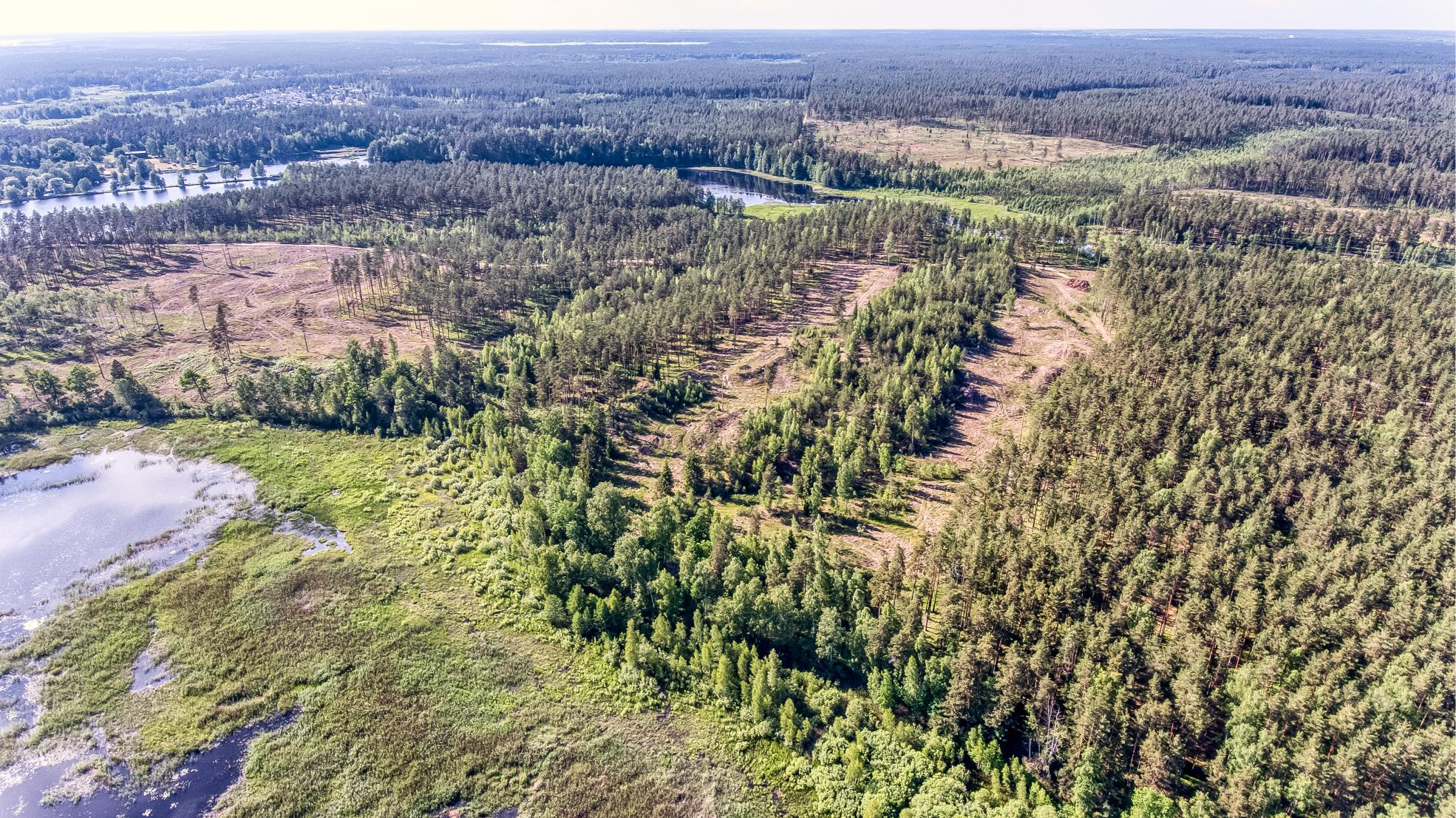 Exclusive Countryside Land Near Riga center – Surrounded by Forests and Water
