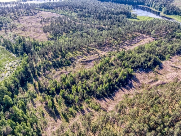 Exclusive Countryside Land Near Riga center – Surrounded by Forests and Water