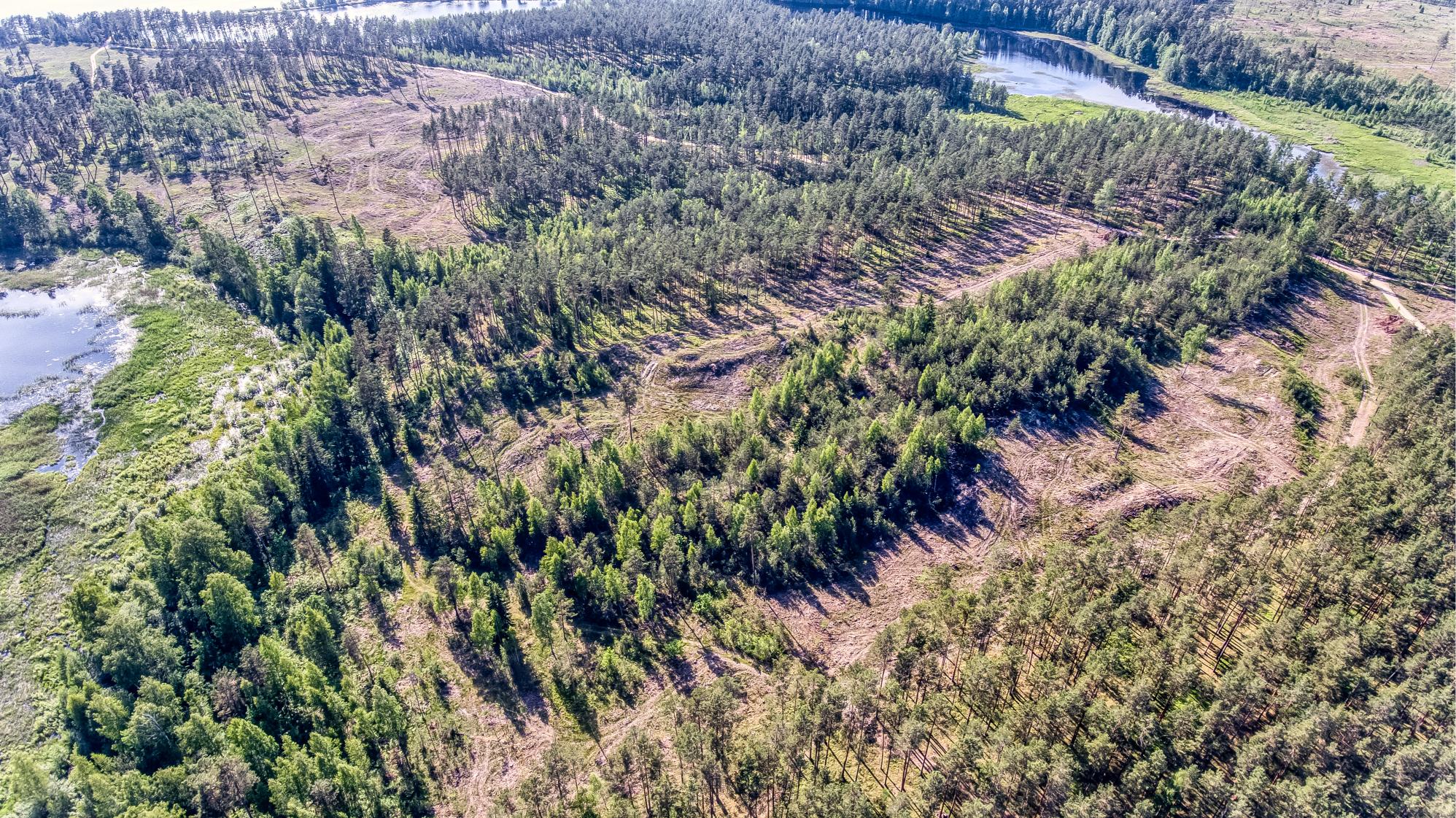 Exclusive Countryside Land Near Riga center – Surrounded by Forests and Water