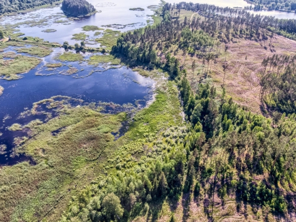 Exclusive Countryside Land Near Riga center – Surrounded by Forests and Water