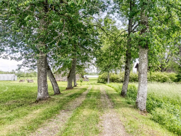 Charming Ranch-Style Property Near the Estonian Border