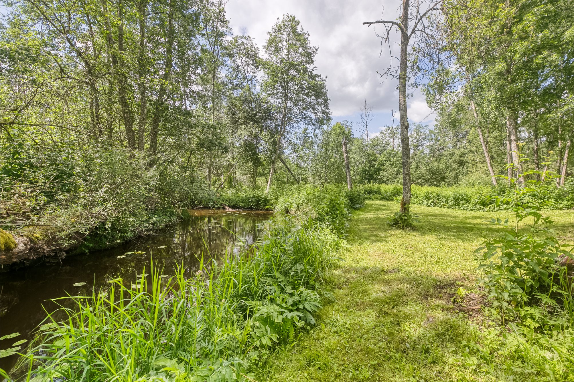 Charming Ranch-Style Property Near the Estonian Border