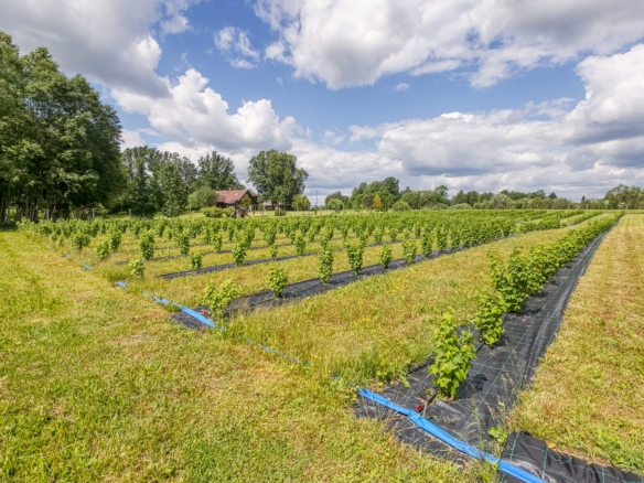 Charming Ranch-Style Property Near the Estonian Border