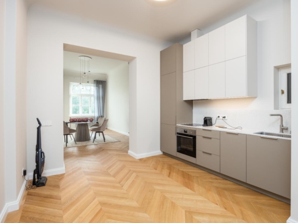 Spacious 1-Bedroom Apartment with Views of Bastejkalns Park, Pflūga House