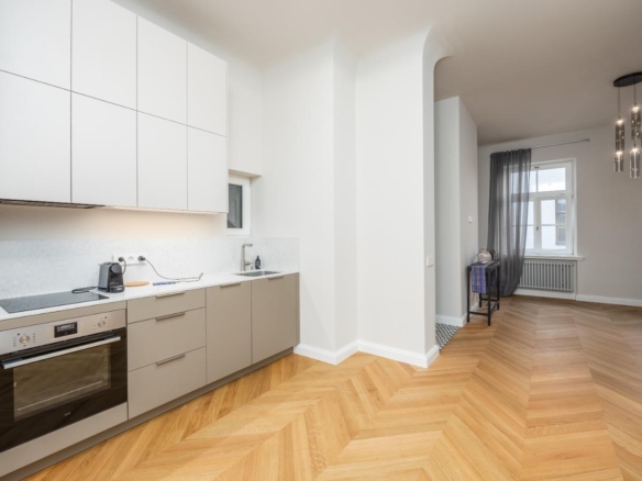 Spacious 1-Bedroom Apartment with Views of Bastejkalns Park, Pflūga House