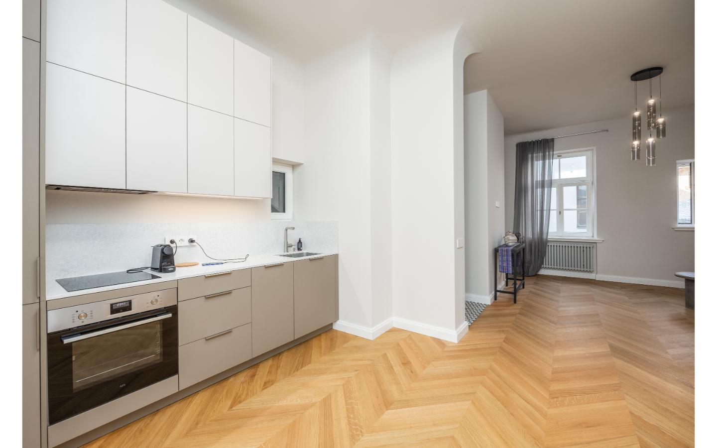 Spacious 1-Bedroom Apartment with Views of Bastejkalns Park, Pflūga House