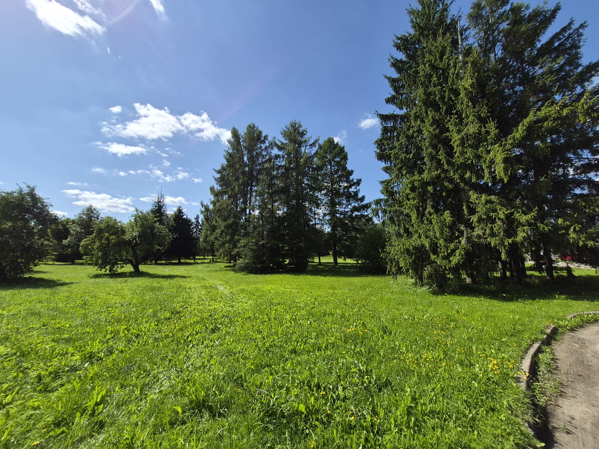 Prime Commercial Land Plot in Central Ādaži